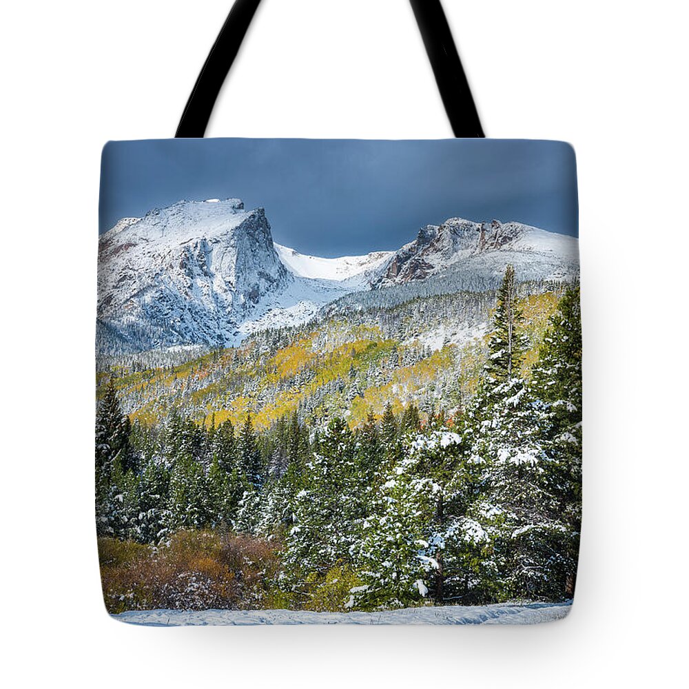 Snow Tote Bag featuring the photograph Christmas in the Rockies by Darren White