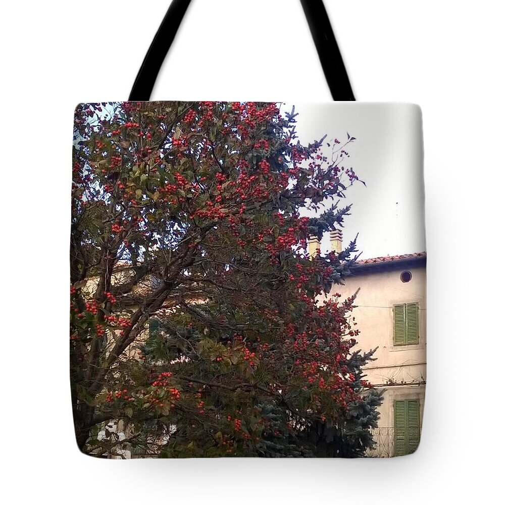 Vivo D'orcia Tote Bag featuring the photograph Christmas by Katia Valenti