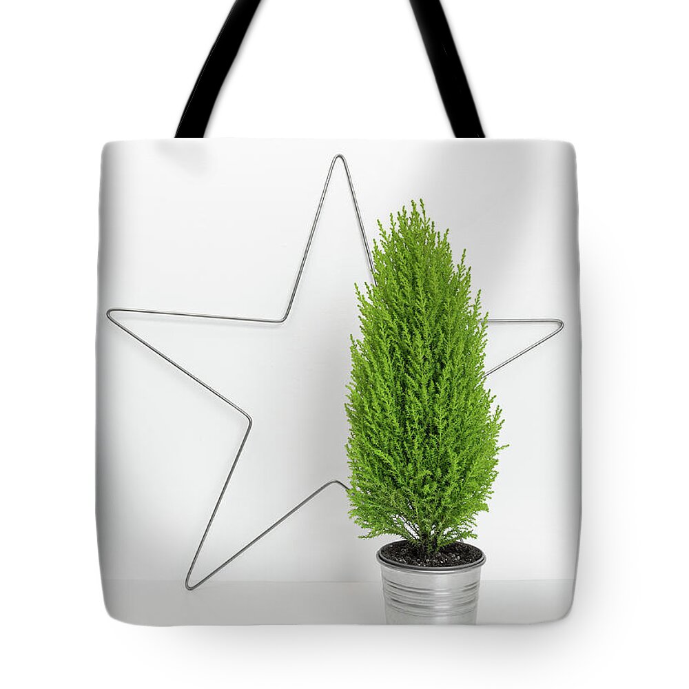 Design Tote Bag featuring the photograph Christmas star and little green tree by GoodMood Art