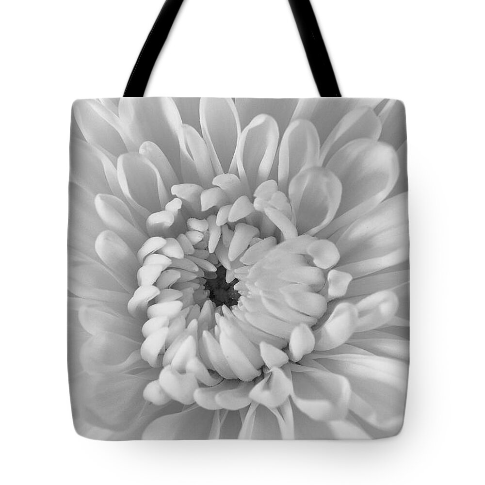 Chrysanthemum Tote Bag featuring the photograph Chrysanthemum by Dick Pratt