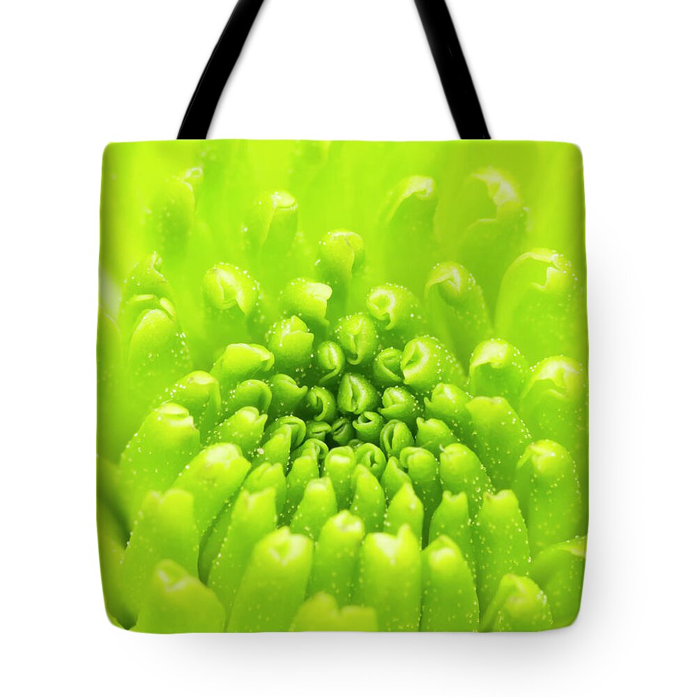 Green Tote Bag featuring the photograph Chrysanthemum Macro by Wim Lanclus
