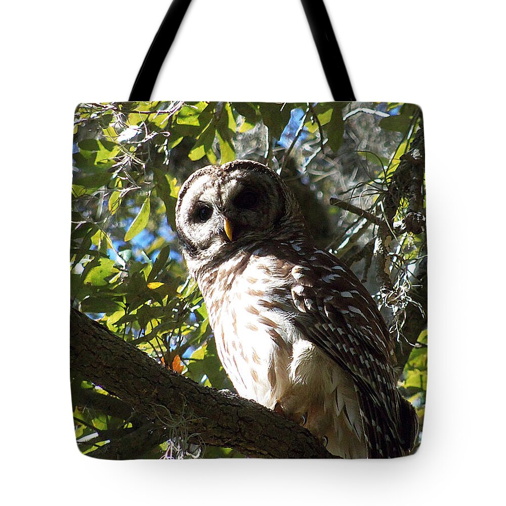 Owl Tote Bag featuring the photograph Circle B Bar Barred Owl 002 by Christopher Mercer