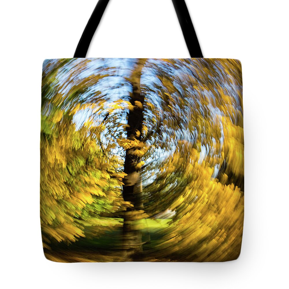  Tote Bag featuring the photograph Circle by Mache Del Campo