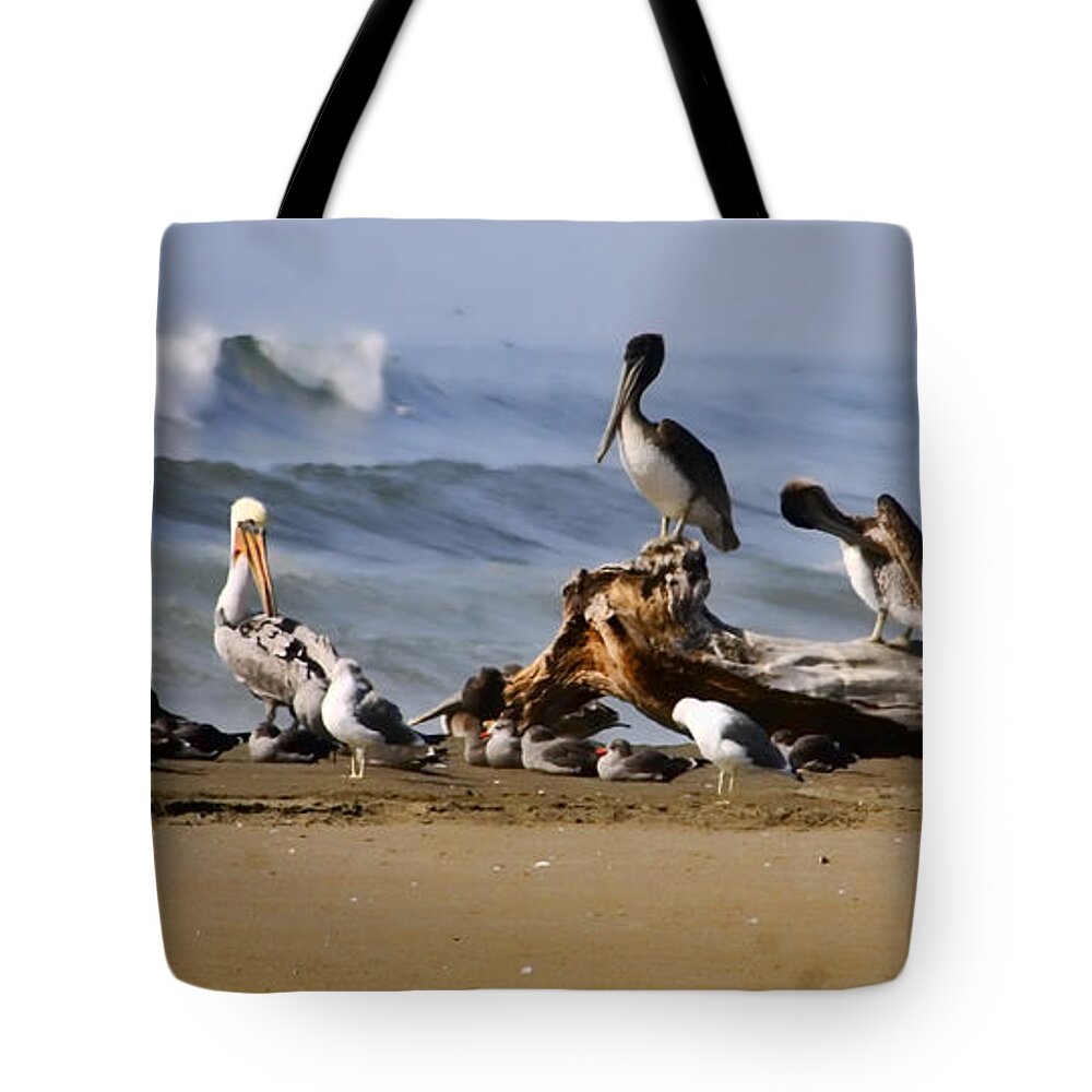 Pelicans Tote Bag featuring the photograph City Council by Bruce Richardson