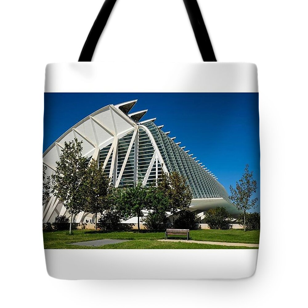 Beautiful Tote Bag featuring the photograph City Of Arts And Sciences. Valencia by Marcelo Valente