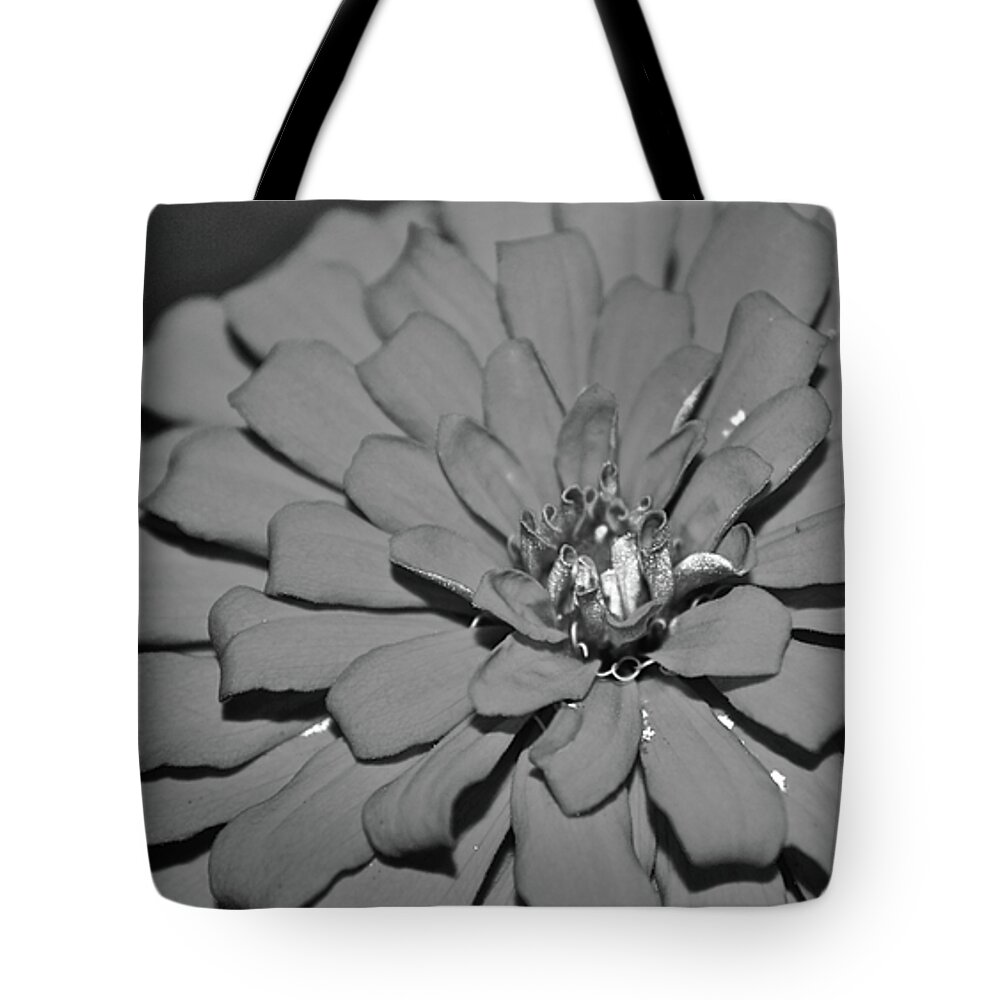 Zinnia Tote Bag featuring the photograph CJ by Donna Shahan