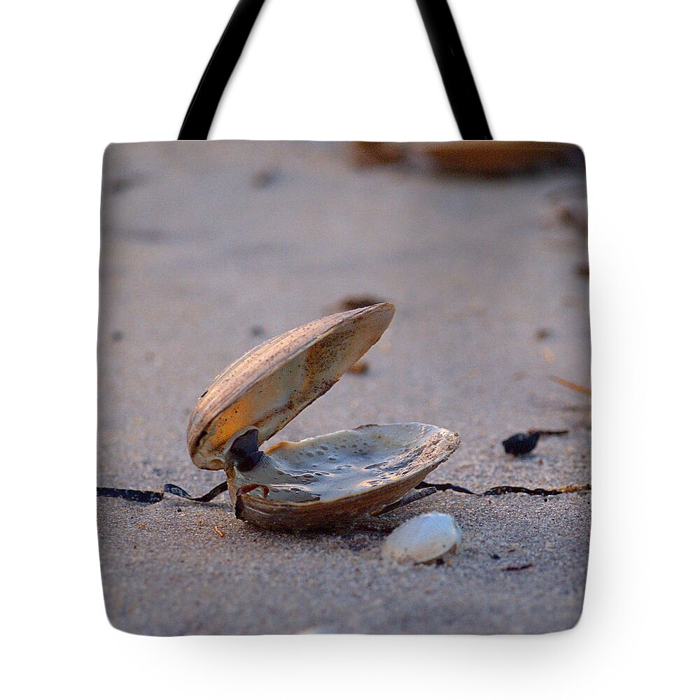 Clam Tote Bag featuring the photograph Clam I by Newwwman