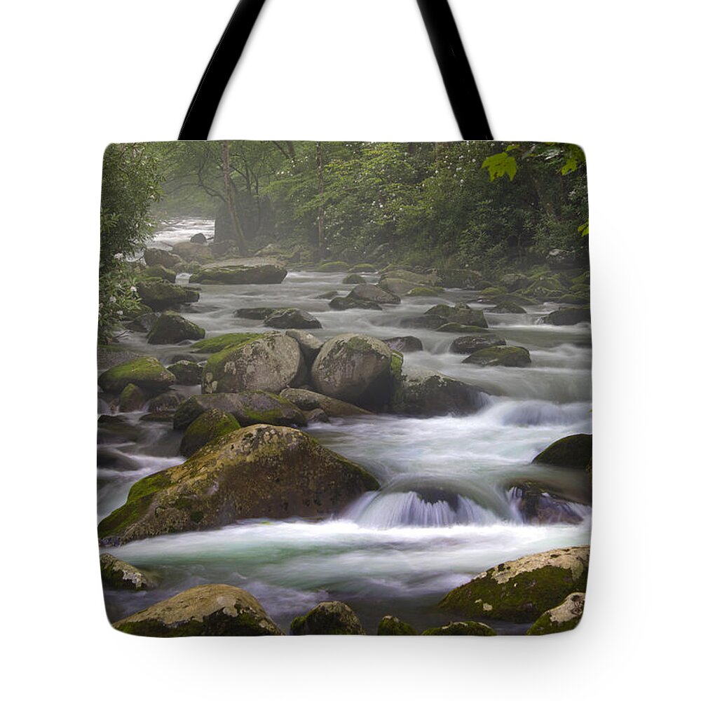Art Prints Tote Bag featuring the photograph Big Creek Trail by Nunweiler Photography