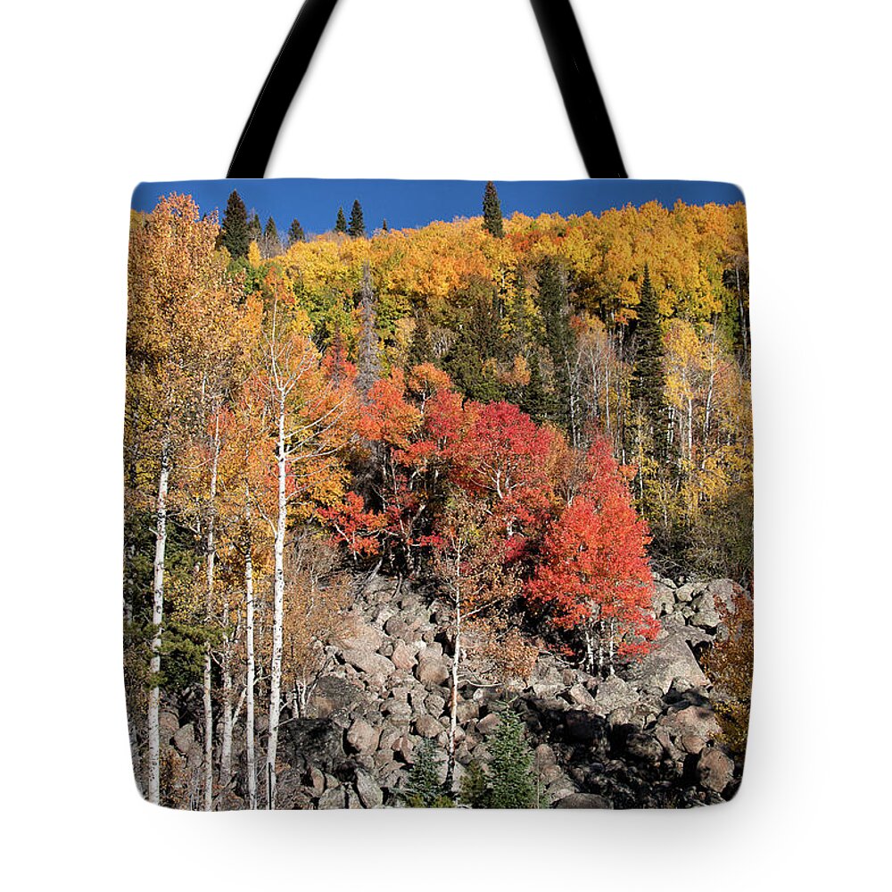 Fall Colors Tote Bag featuring the photograph Clash of Fall Colors by Tony Hake