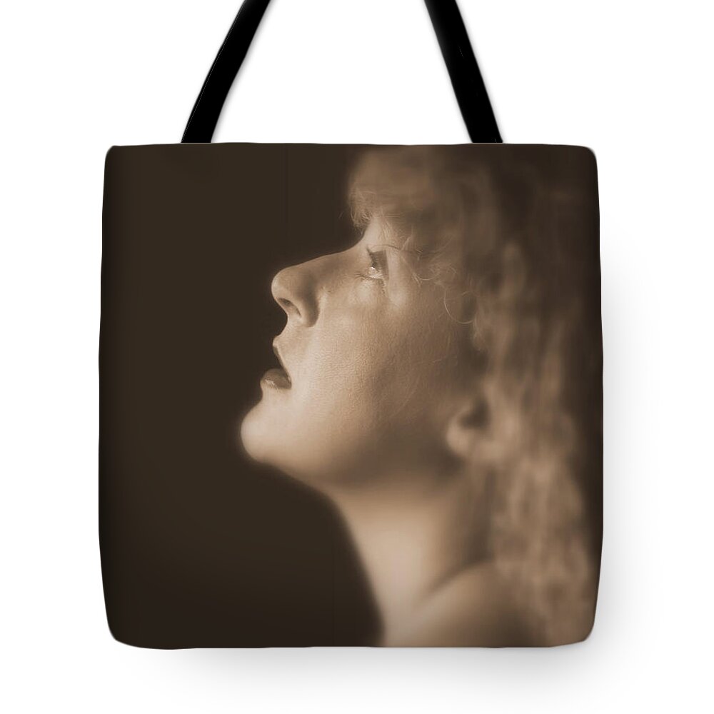 Classic Tote Bag featuring the photograph Classic Beauty by DArcy Evans