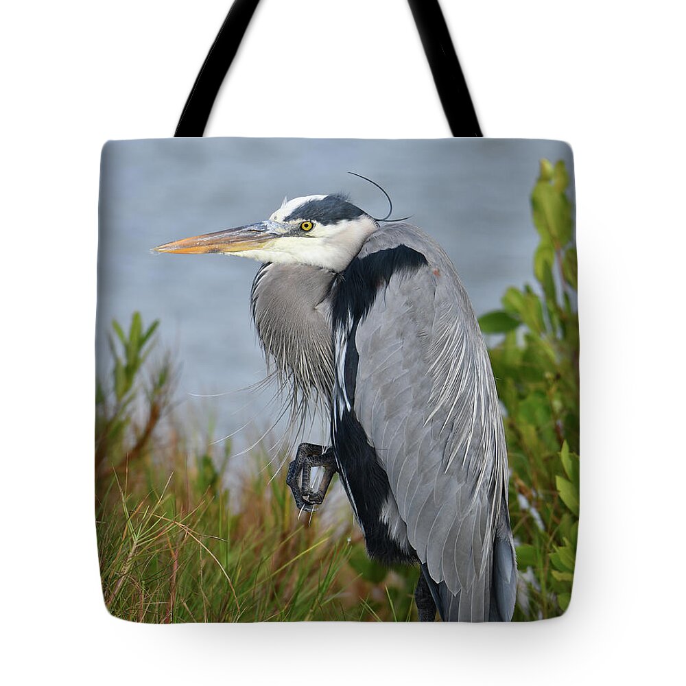 Blue Heron Tote Bag featuring the photograph Classy Blue Heron by Artful Imagery