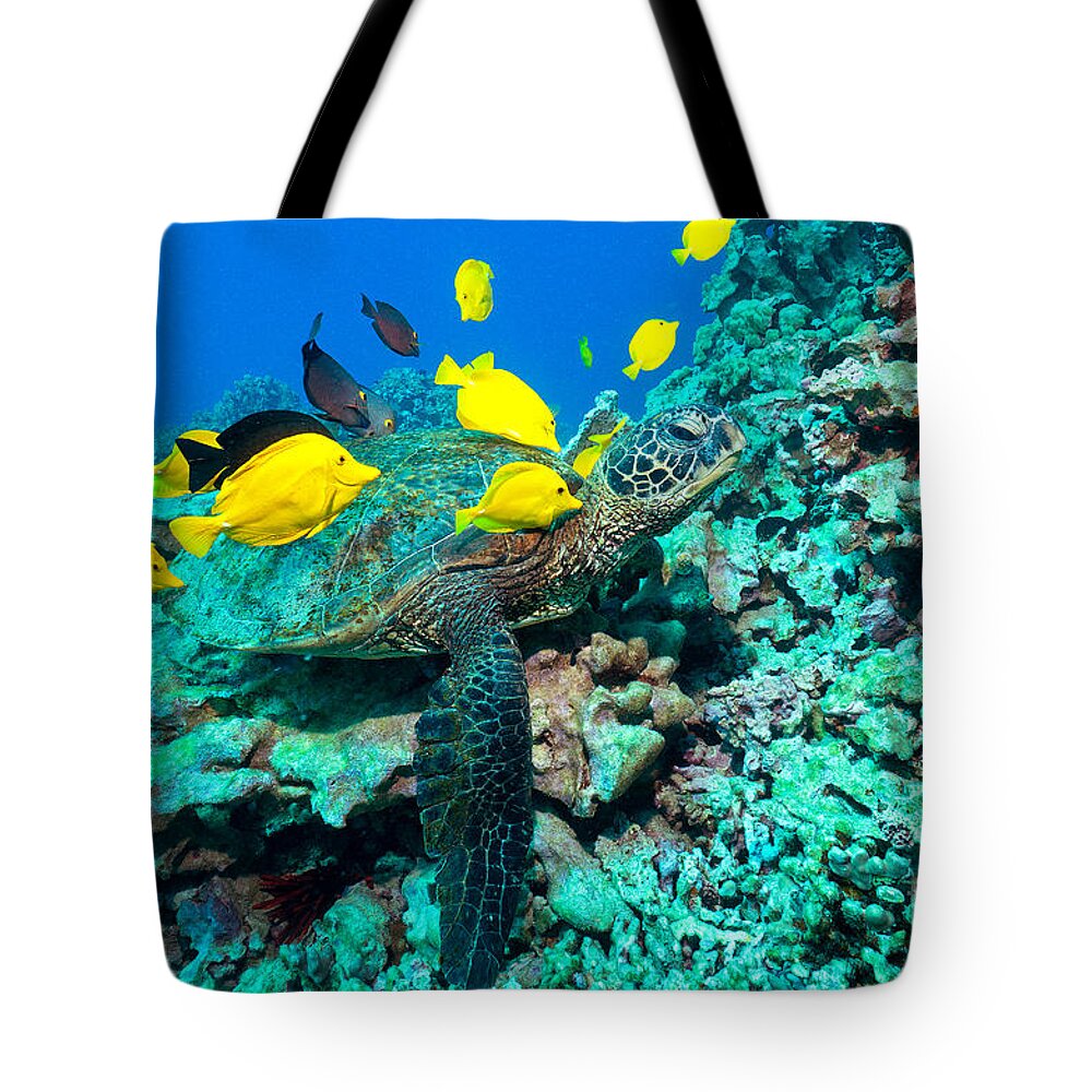 Green Sea Turtle Tote Bag featuring the photograph Cleaners by Aaron Whittemore