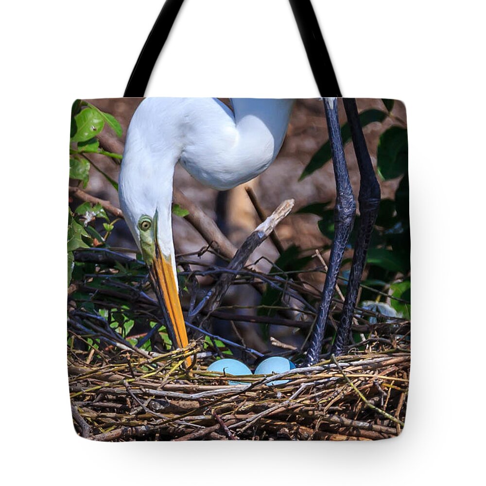 Florida Tote Bag featuring the photograph Cleaning House by Paul Schultz