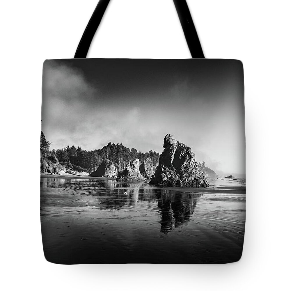 Ruby Beach Tote Bag featuring the photograph Clear Day At Ruby Beach by Cassius Johnson