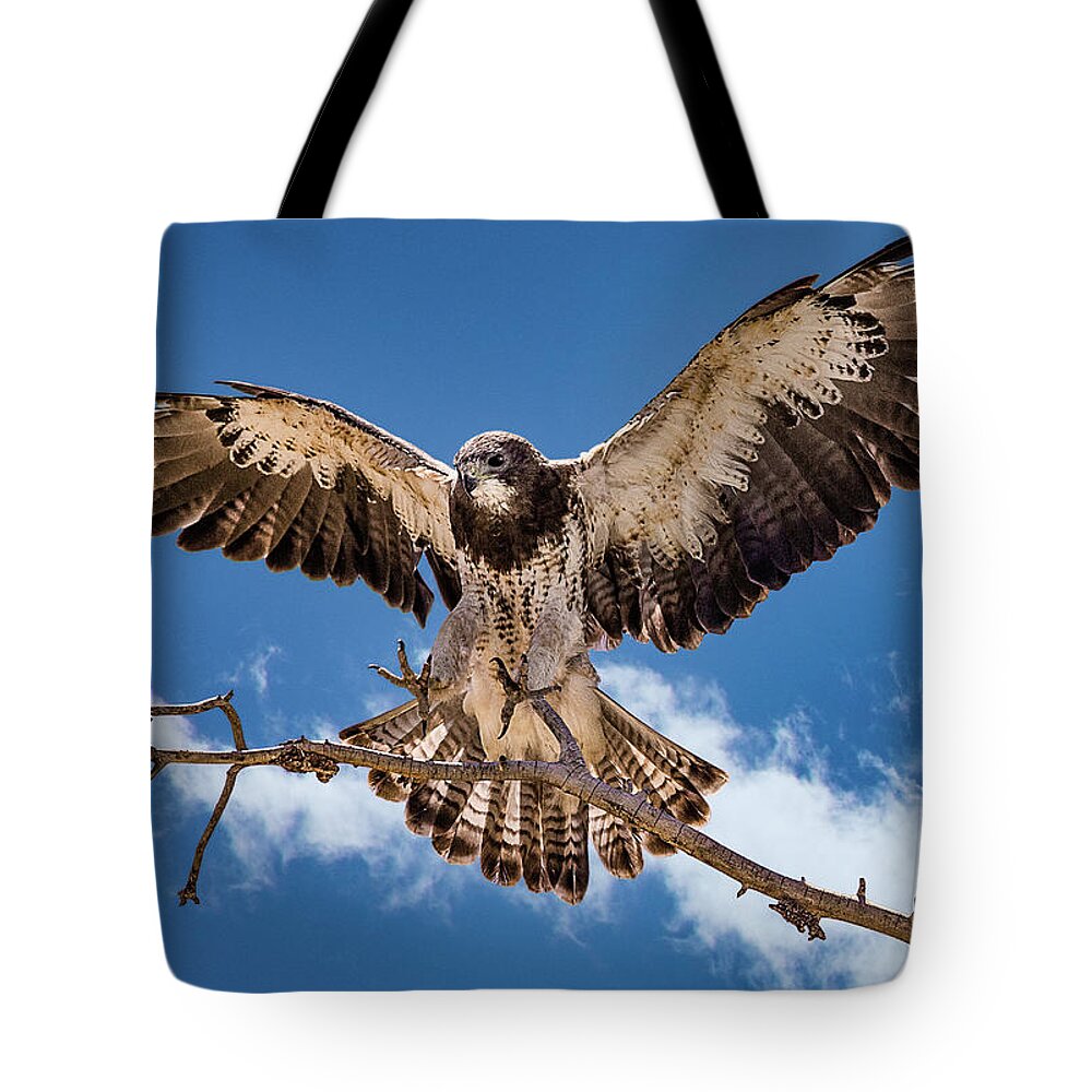 Bird Tote Bag featuring the photograph Cleared for Landing by Bruce Bonnett
