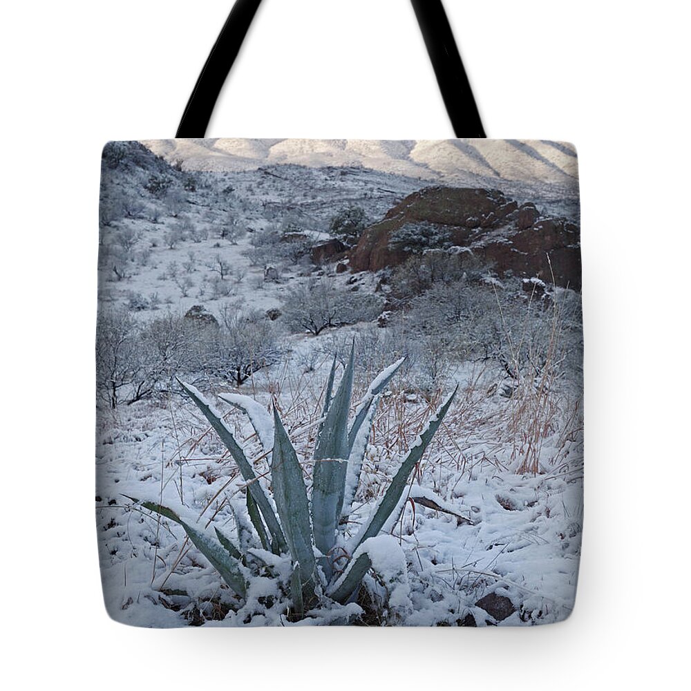 Tom Daniel Tote Bag featuring the photograph Clearing Desert Snowstorm by Tom Daniel