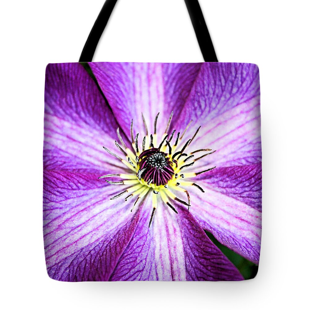 Clematis Tote Bag featuring the photograph Clematis Close Up by Kristin Elmquist