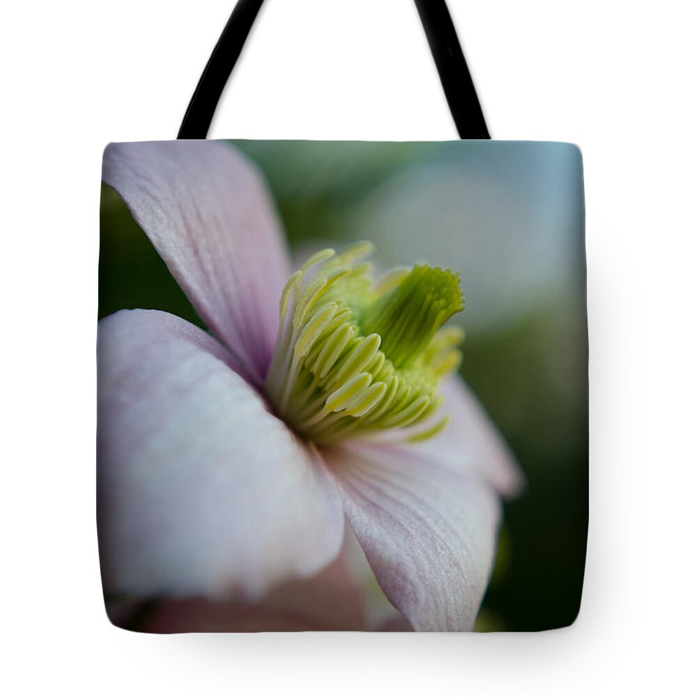 Flower Tote Bag featuring the photograph Clematis flower face of Spring by Spikey Mouse Photography