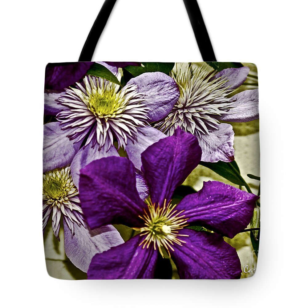 Clematis Tote Bag featuring the photograph Purple Clematis Flower Vines by Carol F Austin