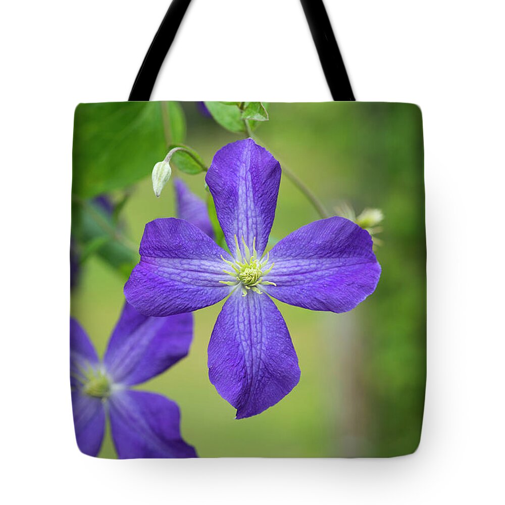 Clematis Jenny Tote Bag featuring the photograph Clematis Jenny by Tim Gainey