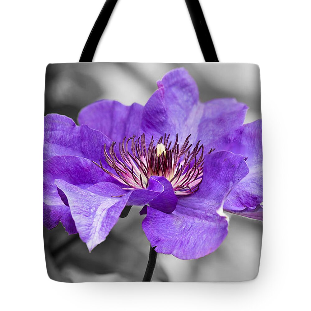 Clematis Tote Bag featuring the photograph Clematis by Scott Carruthers
