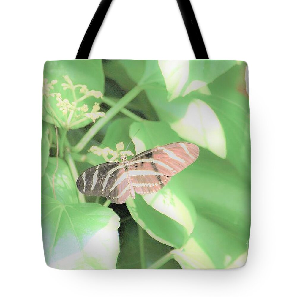Cleveland Ohio Butterfly Tote Bag featuring the photograph Cleveland Butterflies4 by Merle Grenz