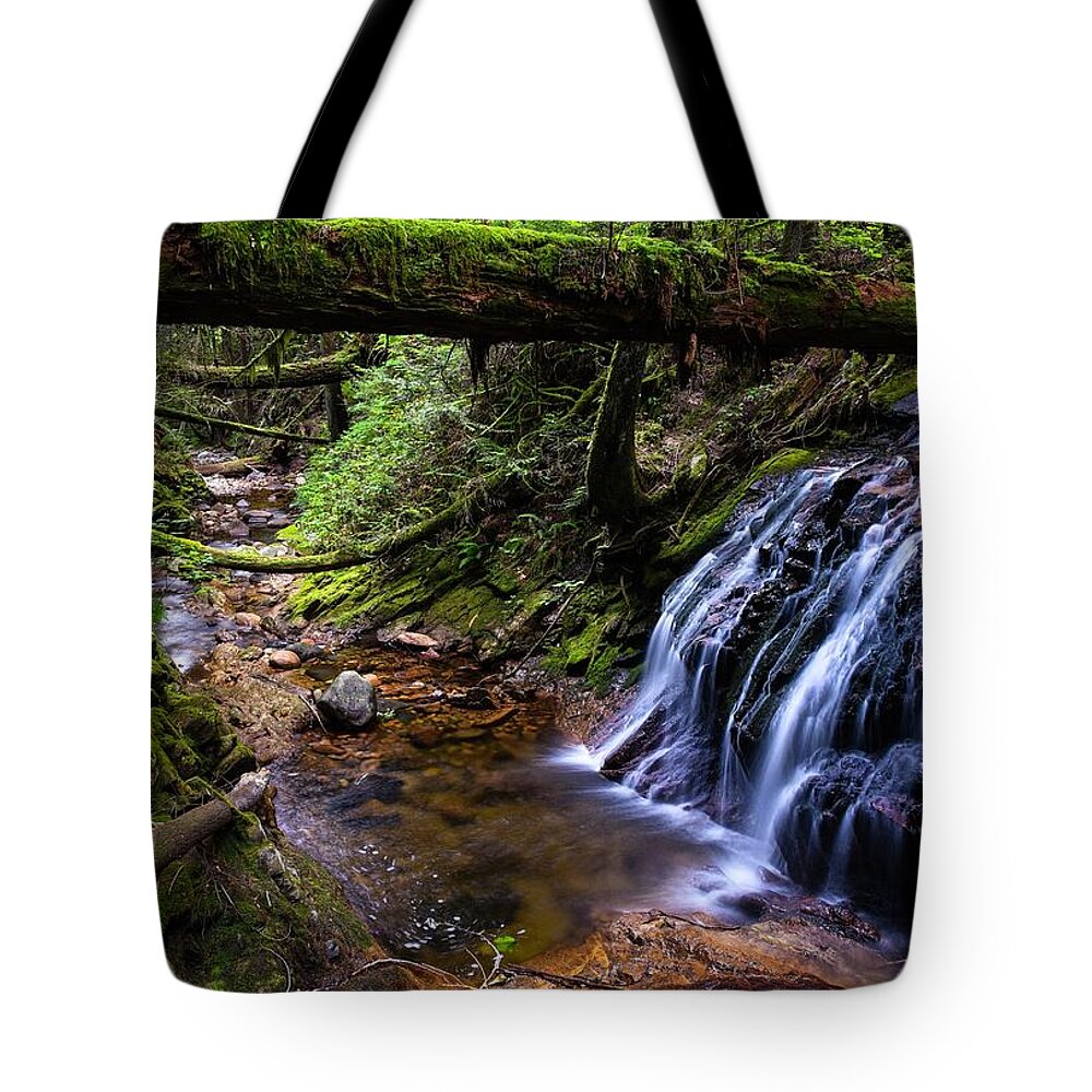 Canada Tote Bag featuring the photograph Cliff Gilker Park by Rand Ningali
