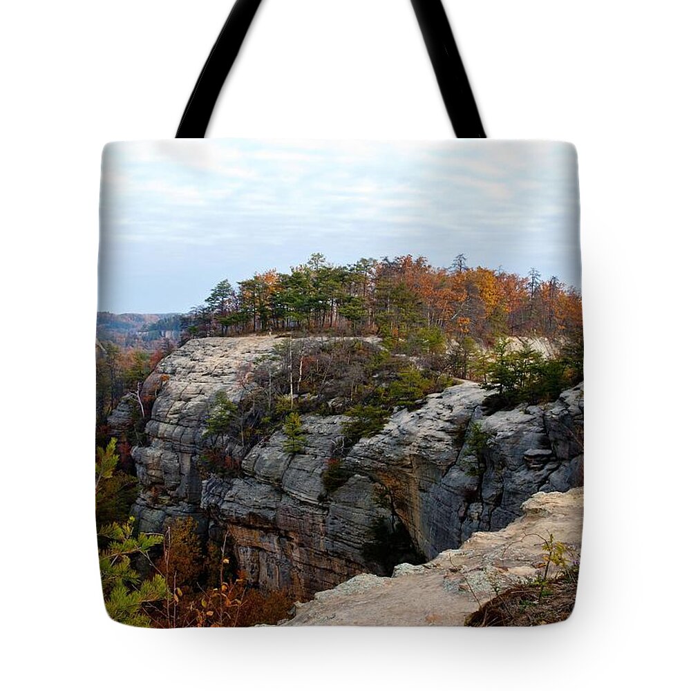Landscape Tote Bag featuring the photograph Cliff View by Rebecca Higgins