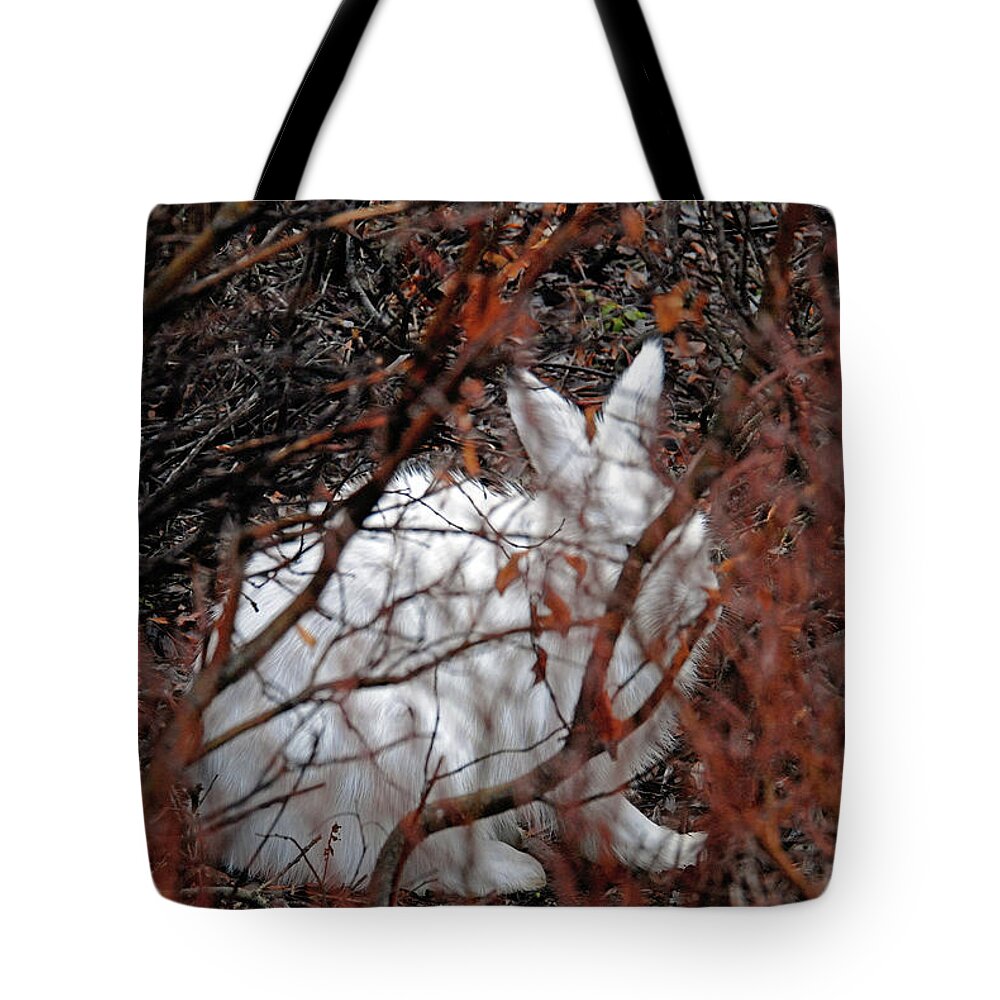 Climate-change Tote Bag featuring the photograph Climate-Change-Hindered Hiding Hare by Ted Keller