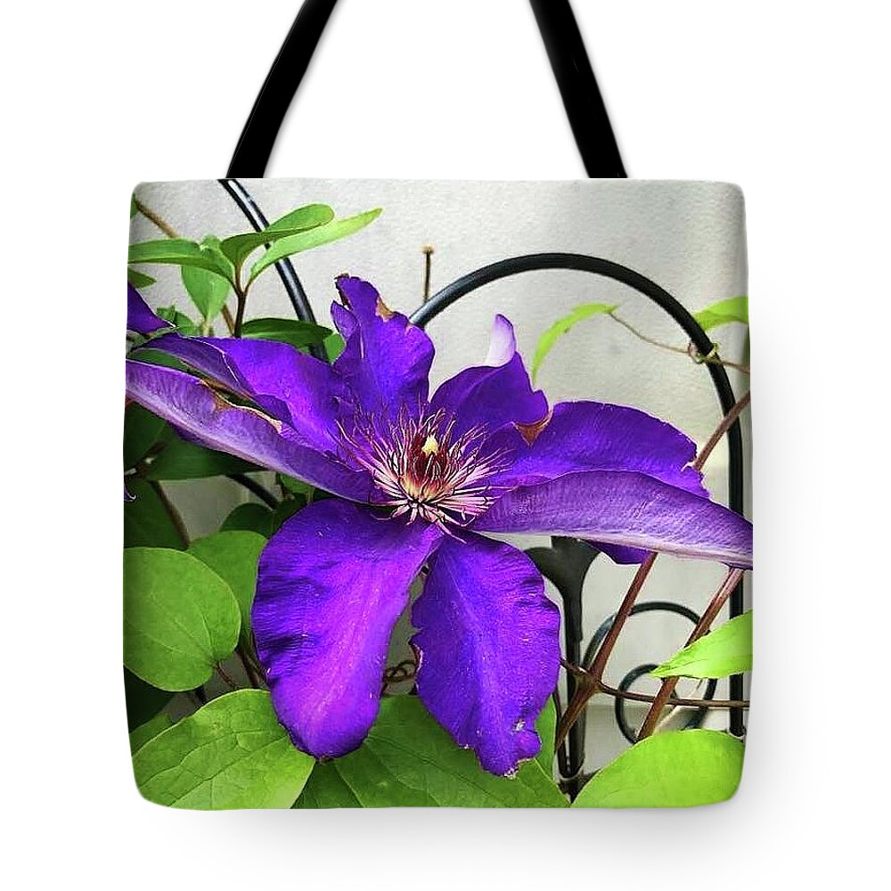 Flora Tote Bag featuring the photograph Climbimg to New Hights by Bruce Bley