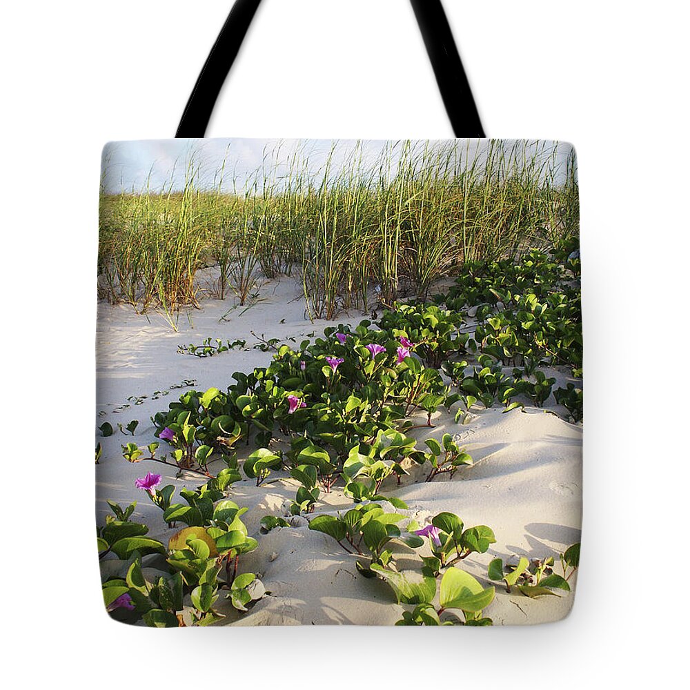 Nature Tote Bag featuring the photograph Climbing the Dunes by Marilyn Hunt