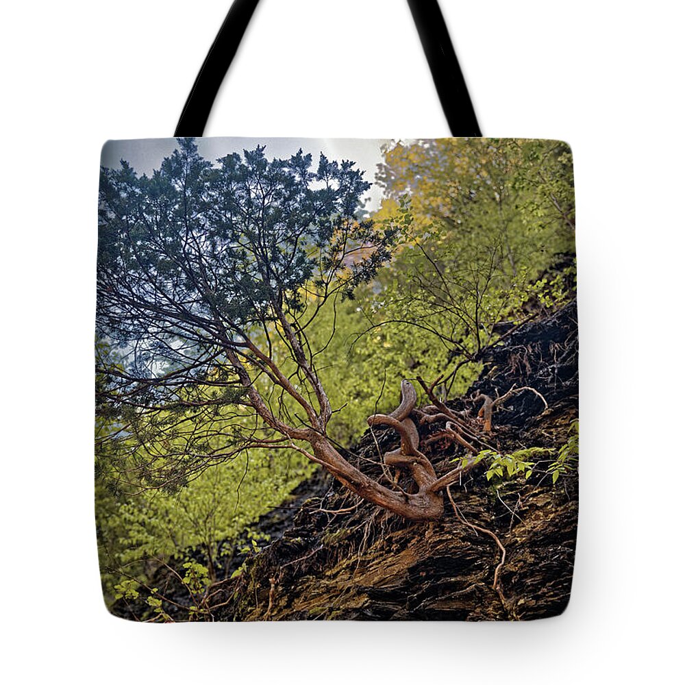 Awesome Tree Tote Bag featuring the photograph Climbing Tree Roots by Doolittle Photography and Art