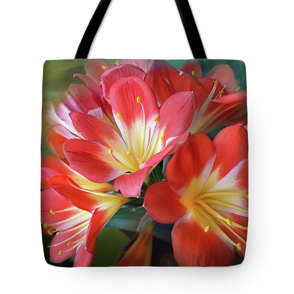 Clivia Tote Bag featuring the photograph Clivia by Lorraine Baum