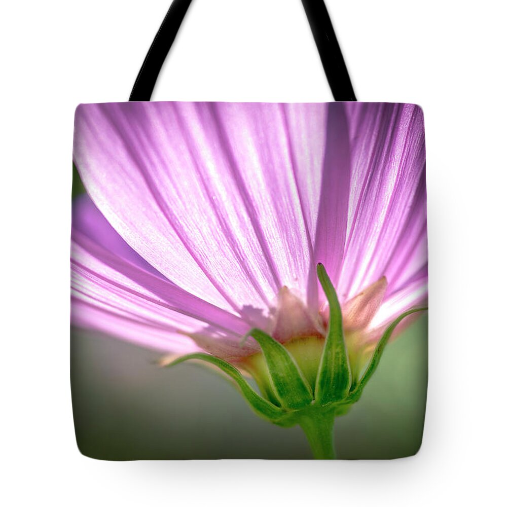 Daisy Tote Bag featuring the photograph Close Enough to a Daisy by Celso Bressan
