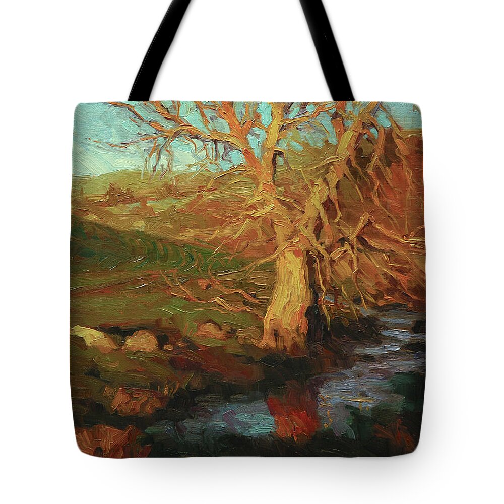 Landscape Tote Bag featuring the painting Close of Day by Steve Henderson