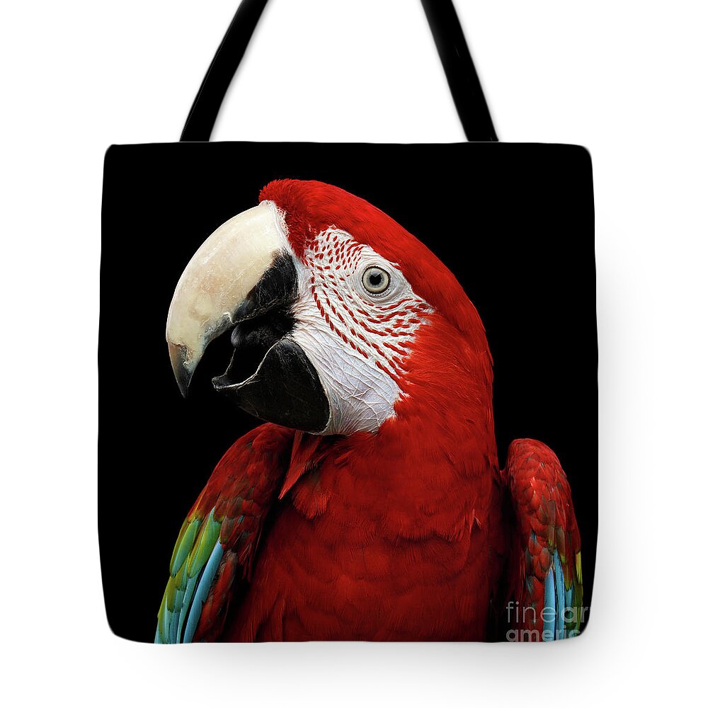 Green-winged Macaw Tote Bags