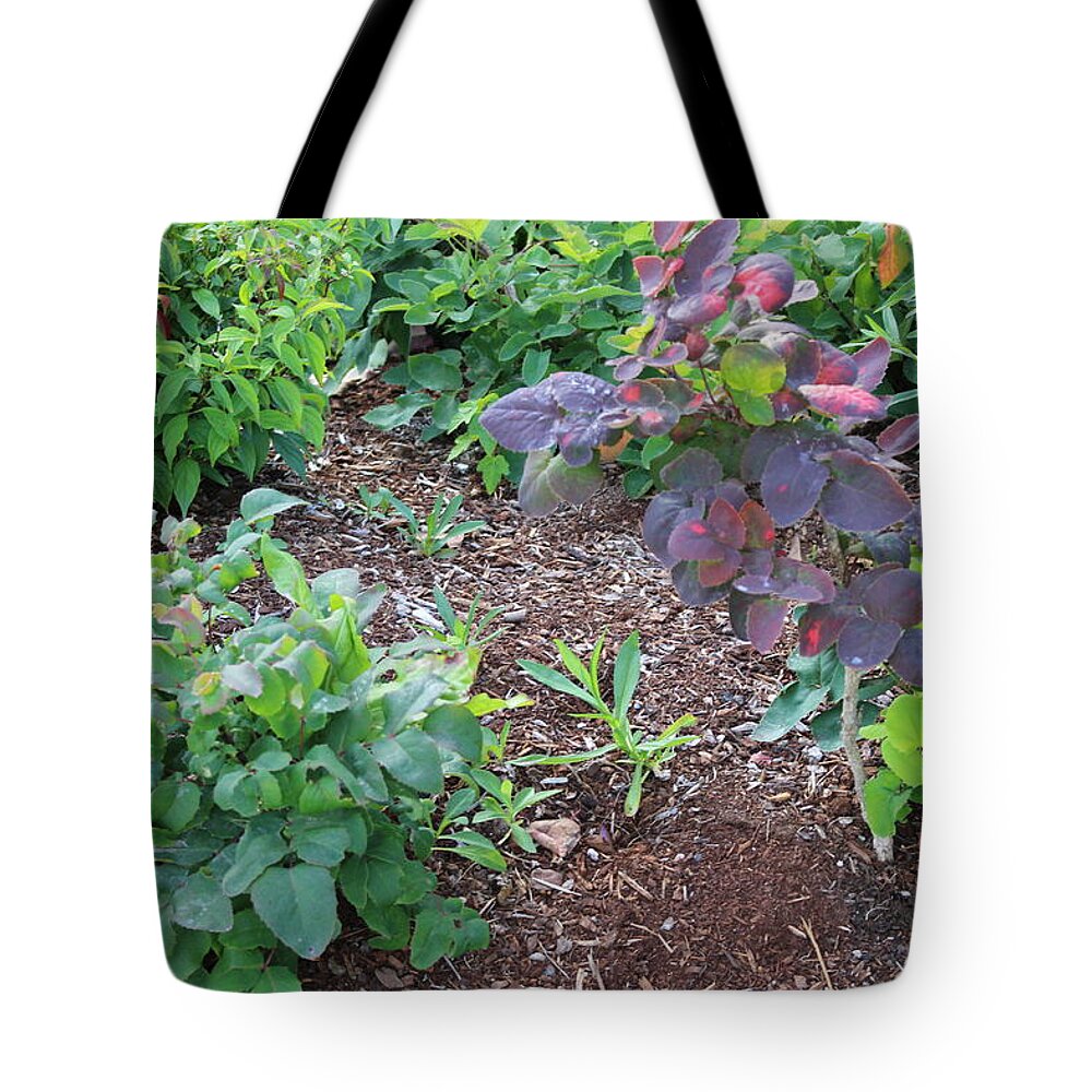 Close-up Landscape Tote Bag featuring the photograph Close-up landscape by Zachary Lowery