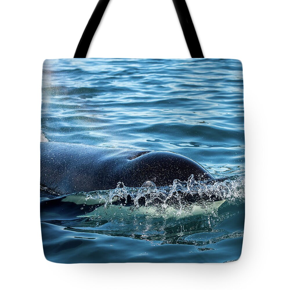 Killer Whale Tote Bag featuring the photograph Close up by Canadart -