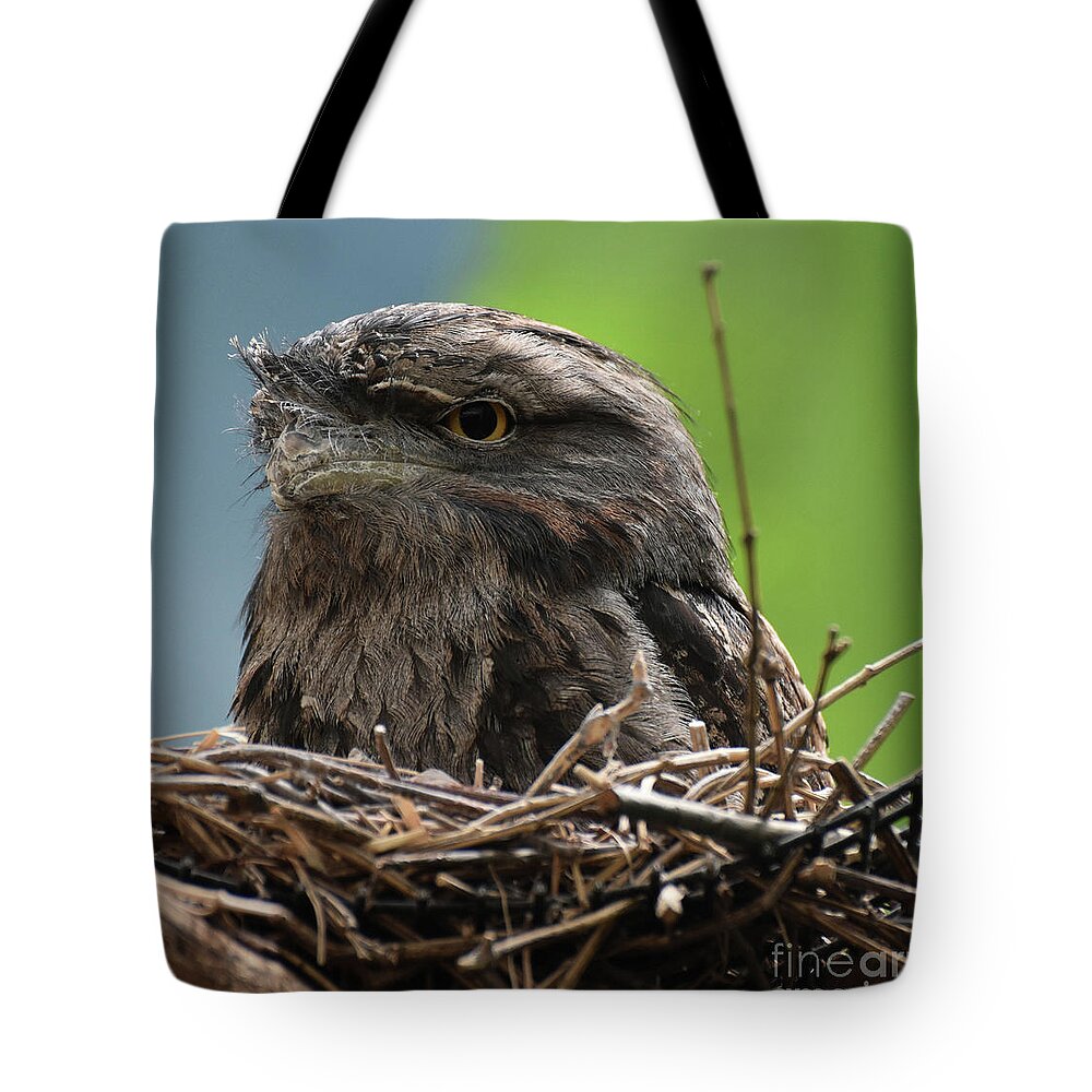 Nest Tote Bag featuring the photograph Close Up Look at a Tawny Frogmouth Sitting in a Nest by DejaVu Designs