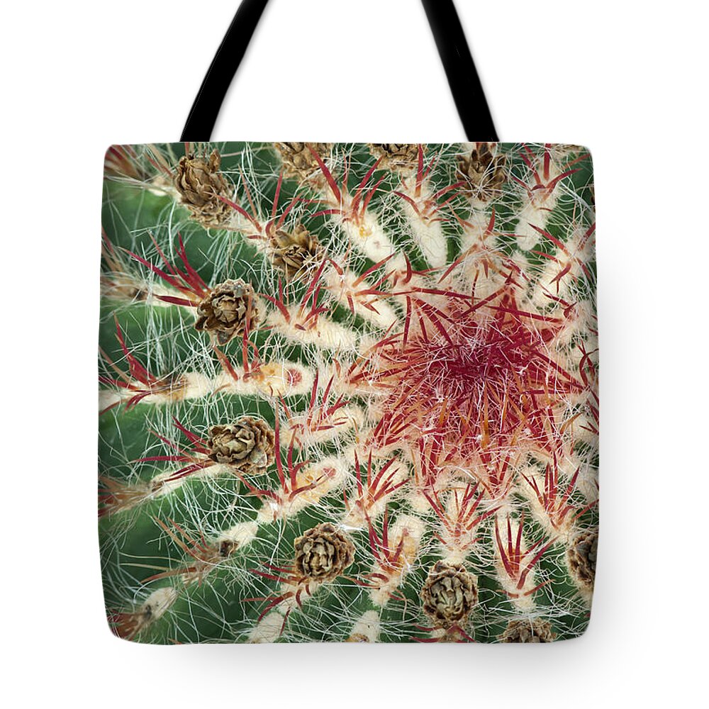 Cacti Tote Bag featuring the photograph Close-up of cactus with purple spines by GoodMood Art