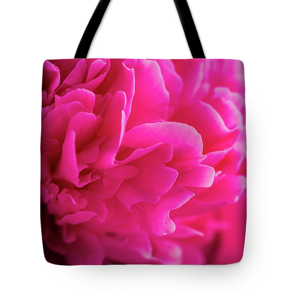 Beautiful Tote Bag featuring the photograph Close up of Pink Peony Flower by Teri Virbickis