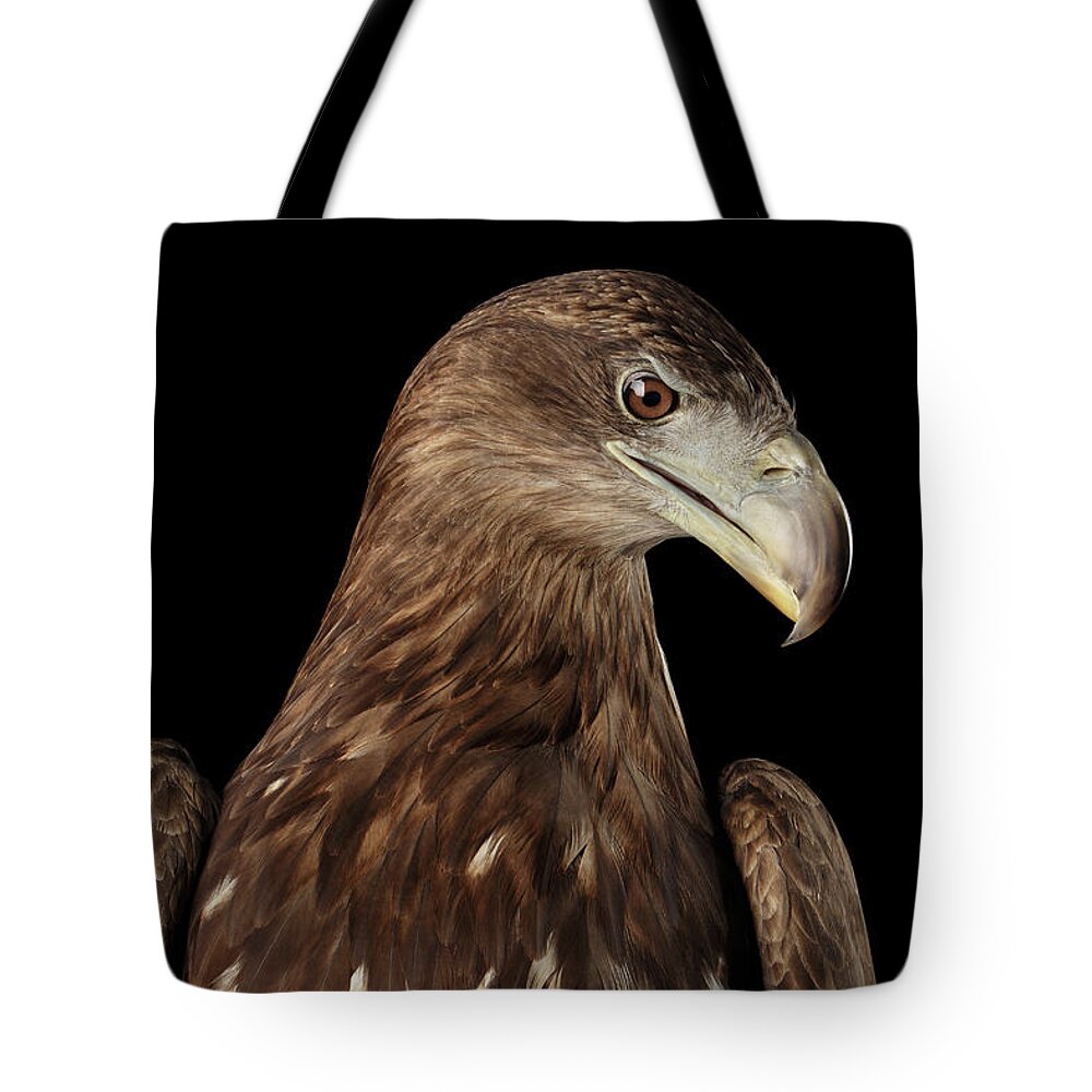 Eagle Tote Bag featuring the photograph Close-up White-tailed eagle, Birds of prey isolated on Black bac by Sergey Taran