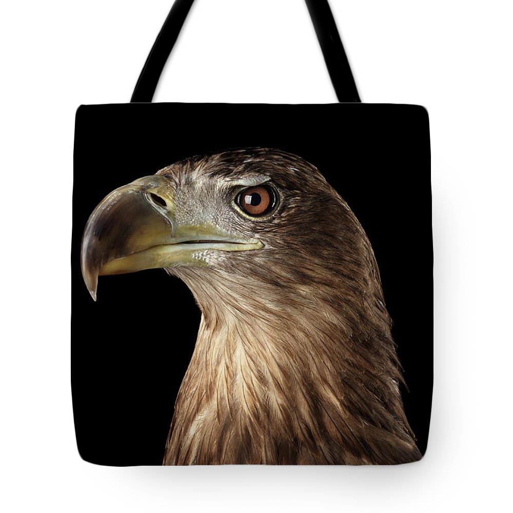 Bird Image Tote Bags