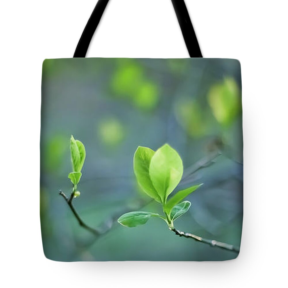 Leaves Tote Bag featuring the photograph Closer To Spring by Elvira Pinkhas
