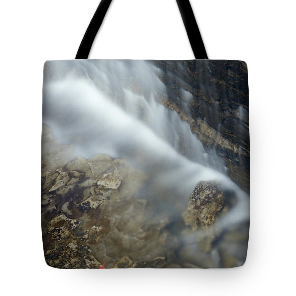 Light Tote Bag featuring the photograph Closeup Maple Leaf And Decew Falls, St by Darwin Wiggett