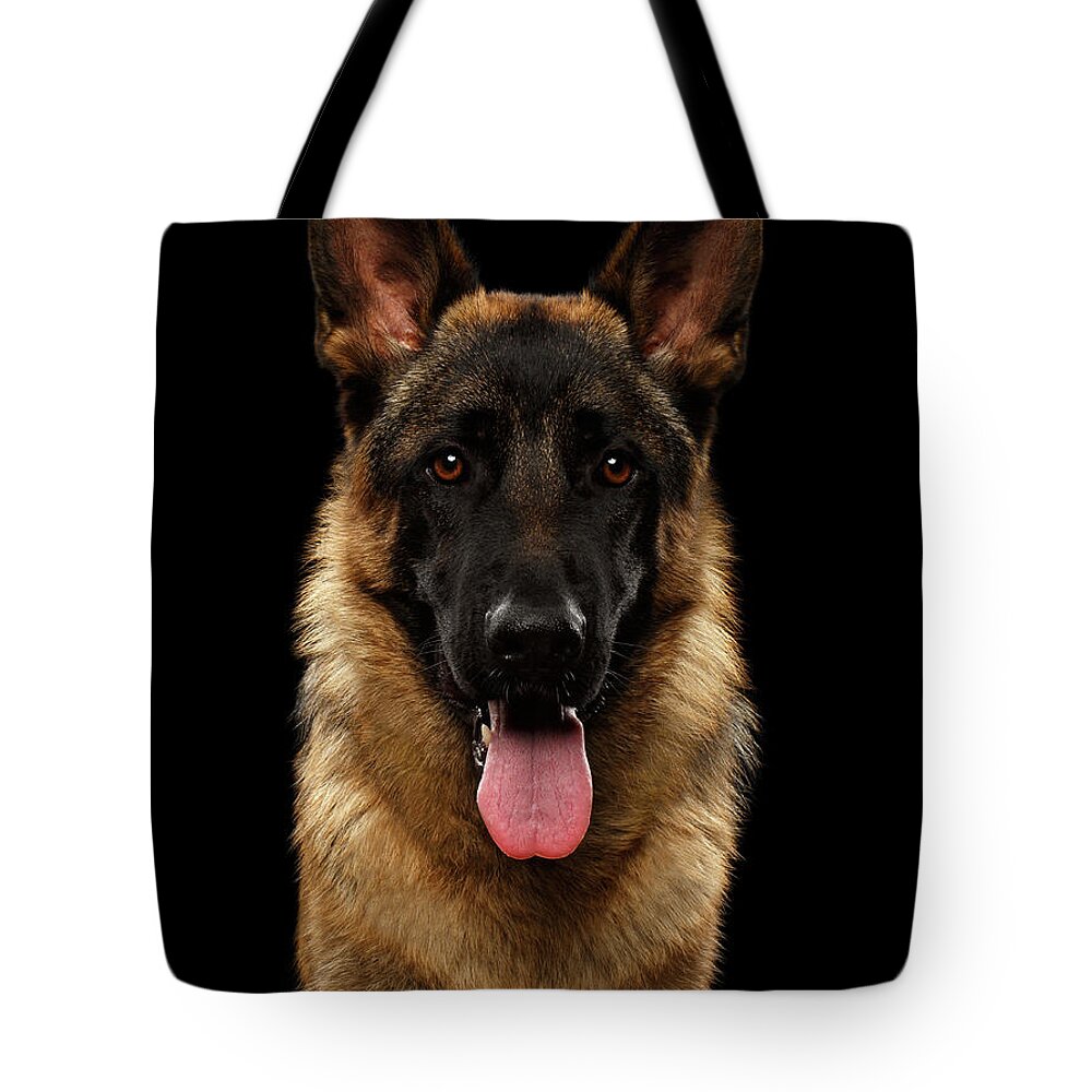 Dog Tote Bag featuring the photograph Closeup Portrait of German Shepherd on Black by Sergey Taran