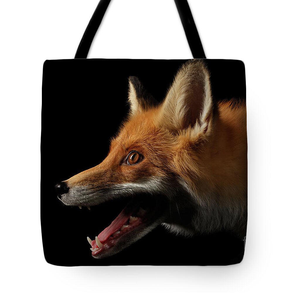 Fox Tote Bag featuring the photograph Red Fox in Profile by Sergey Taran