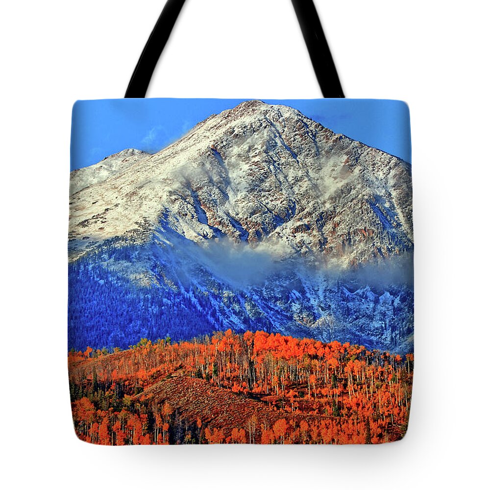Fall Tote Bag featuring the photograph Closing in on Fall by Scott Mahon