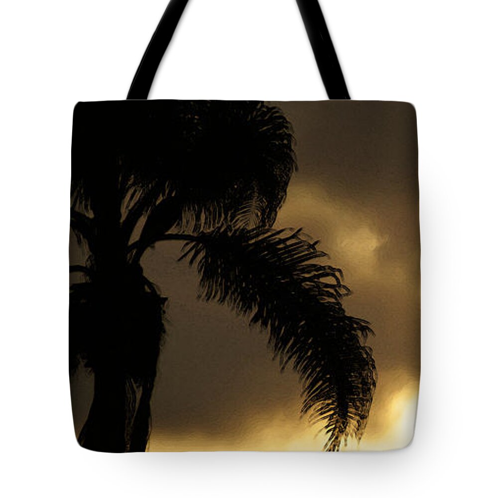 Palm Tote Bag featuring the photograph Cloud Break by Linda Shafer