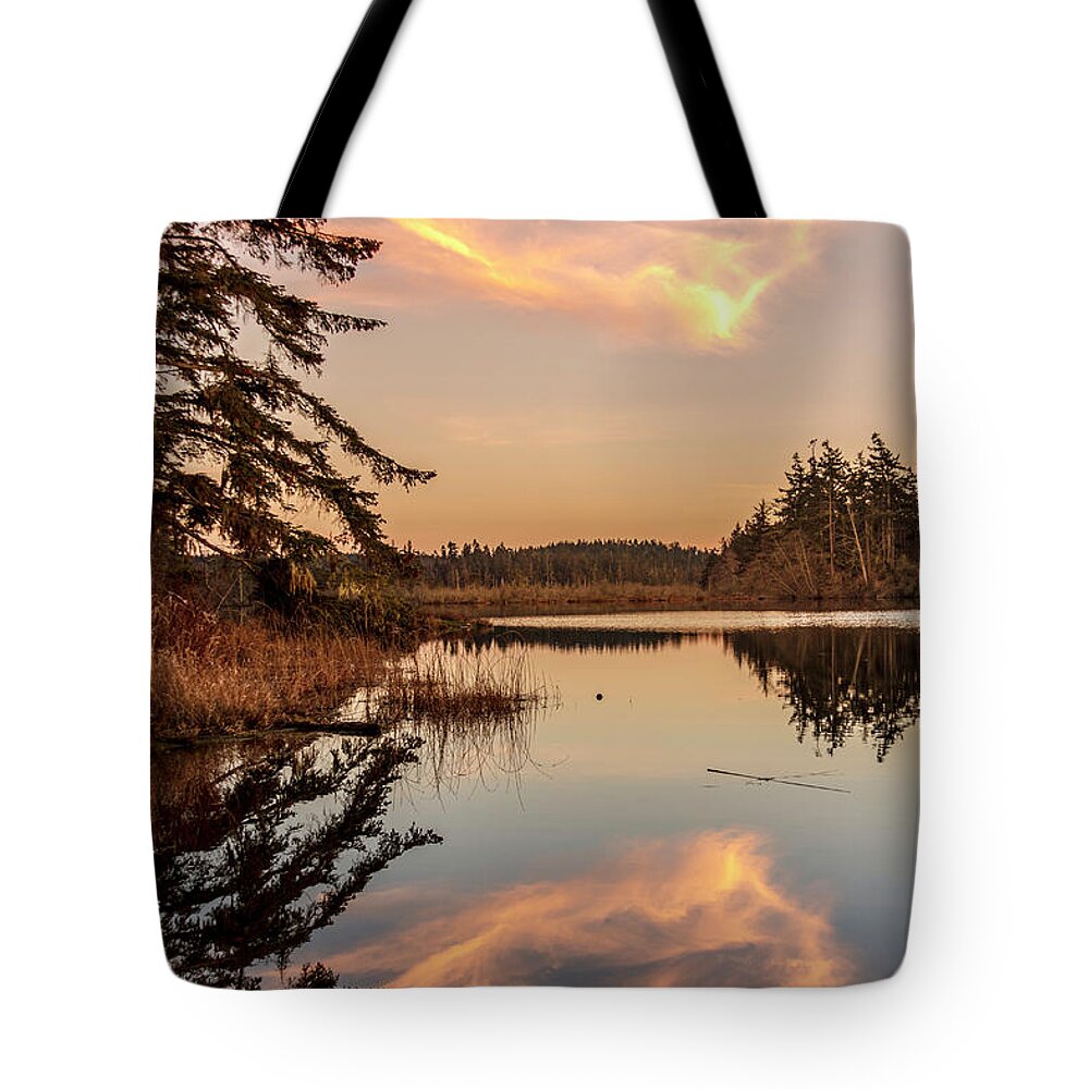 Cloud Tote Bag featuring the photograph Cloud on Cranberry Lake by Tony Locke